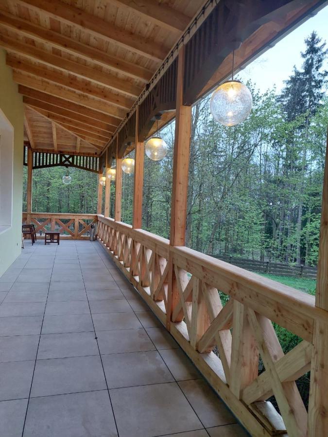 Szwajcarka Willa Z Sauna I Jacuzzi Kudowa-Zdrój Εξωτερικό φωτογραφία